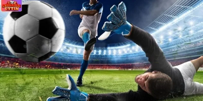 Bí kíp dựa vào sân thi đấu để chơi kèo 1.25 Bí kíp dựa vào sân thi đấu để chơi kèo 1.25