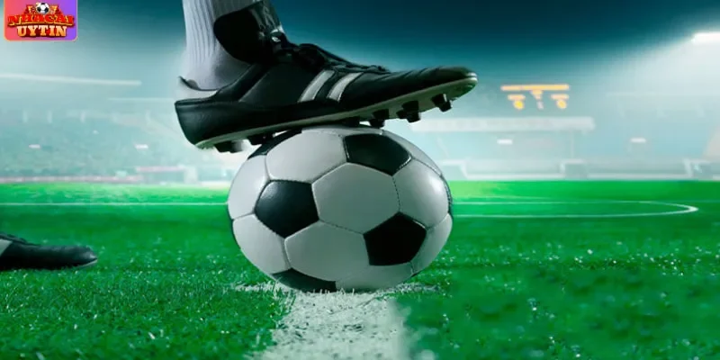 4 mẹo cược kèo bóng đá chấp 1.75 thắng lớn 4 mẹo cược kèo bóng đá chấp 1.75 thắng lớn