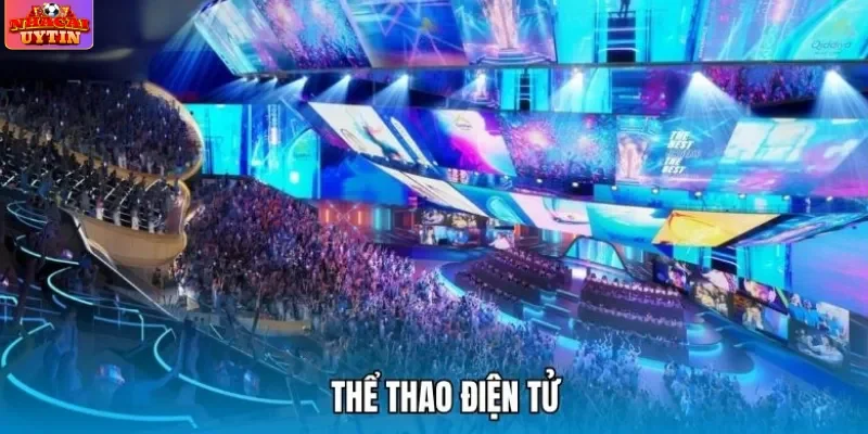 Thể thao điện tử trở thành siêu phẩm được tìm kiếm hàng đầu RED88