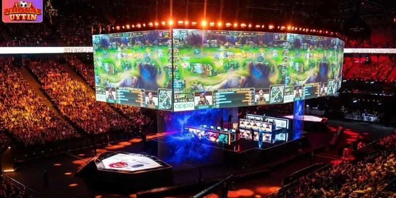 Cá cược Esports mang đến những trải nghiệm kịch tính nhất