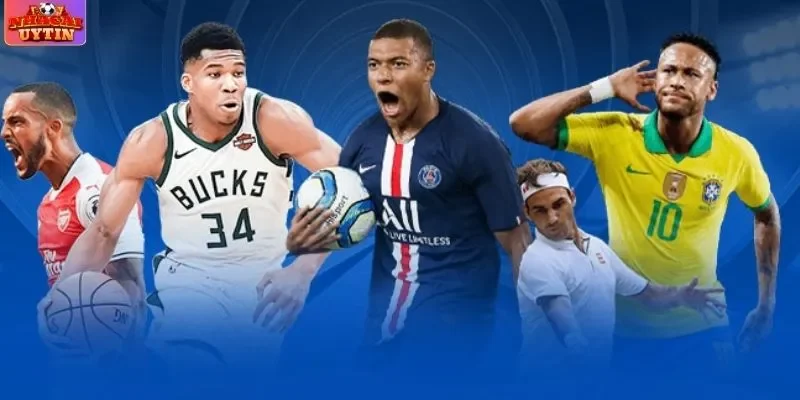 Thông tin giới thiệu sảnh cược thể thao đến từ Châu Mỹ