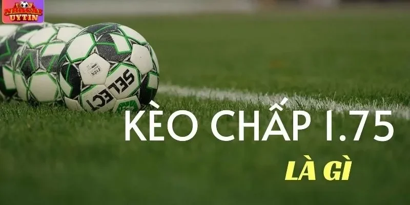 Giới thiệu về kèo 1.75 trái