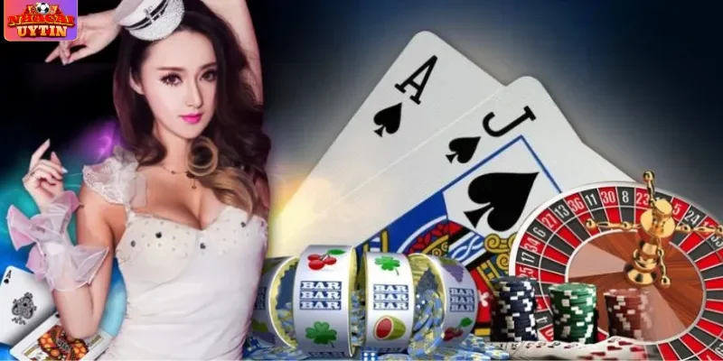 Góc Nhìn Chuyên Gia Về Thị Trường Cá Cược - Xu Thế & Cơ Hội