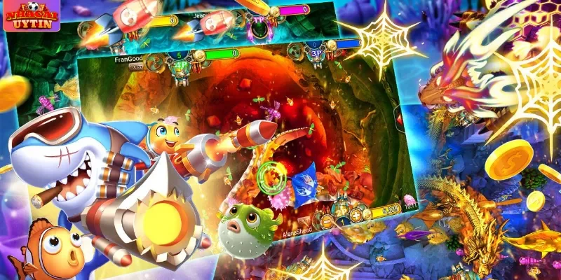 Săn cá nên tập trung vào phần đầu Săn cá nên tập trung vào phần đầu