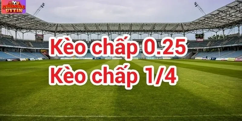 Mẹo Cược Kèo Bóng Đá Chấp 0.25 - Bí Kíp Giúp Anh Em Luôn Thắng Lớn