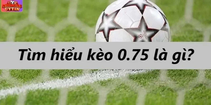 Giới thiệu về kèo chấp 0.75
